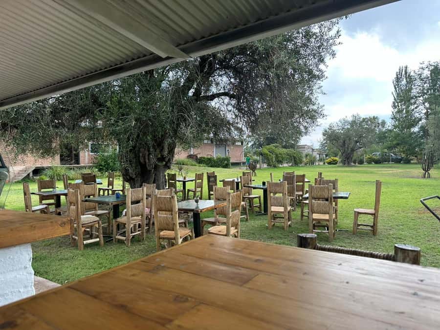 Tour of 3 wineries in Maipú with lunch + olive groves - The Scenery Between Wineries, Including Olive Grove Country Views