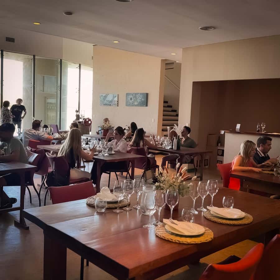 Tour of 3 wineries in Maipú with lunch + olive groves - Tips to Make Your Tastings More Fun (Not Just Strong)