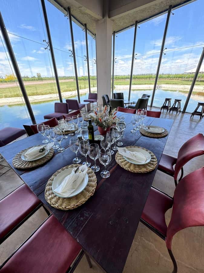 Tour of 3 wineries in Maipú with lunch + olive groves - Who This Tour Suits Best