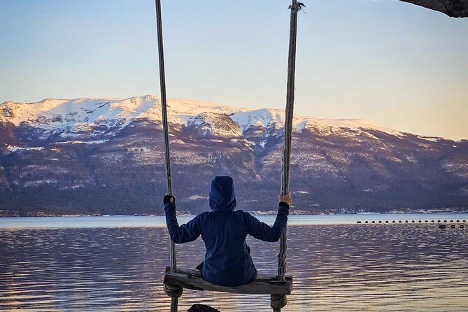Tour of Puerto Almanza and Punta Paraná in Ushuaia - Key Highlights You Should Know Before You Go