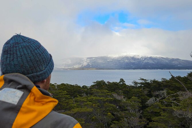 Tour of Puerto Almanza and Punta Paraná in Ushuaia - Stop 4: Punta Paraná, the Coihue Forest Cabin, and Dinner by the Fireplace