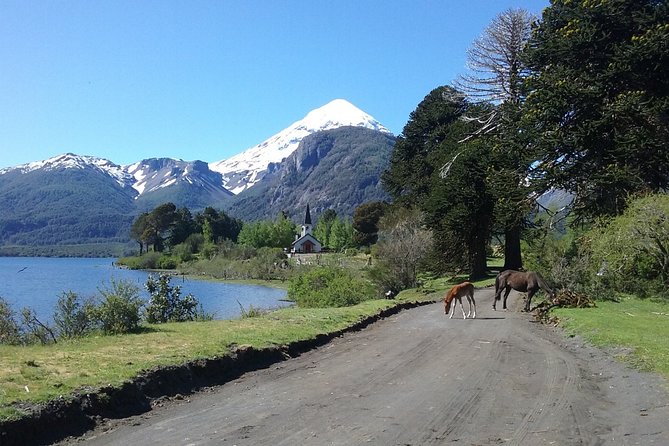 Tour of the Lanin Volcano and Huechulafquen Lake - Key highlights worth knowing