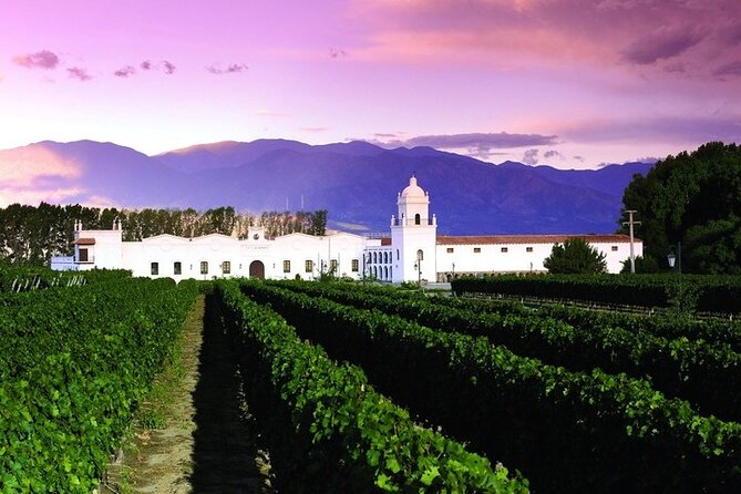 Tour to Cafayate from Salta - Quick take: what makes this Cafayate tour worth your morning