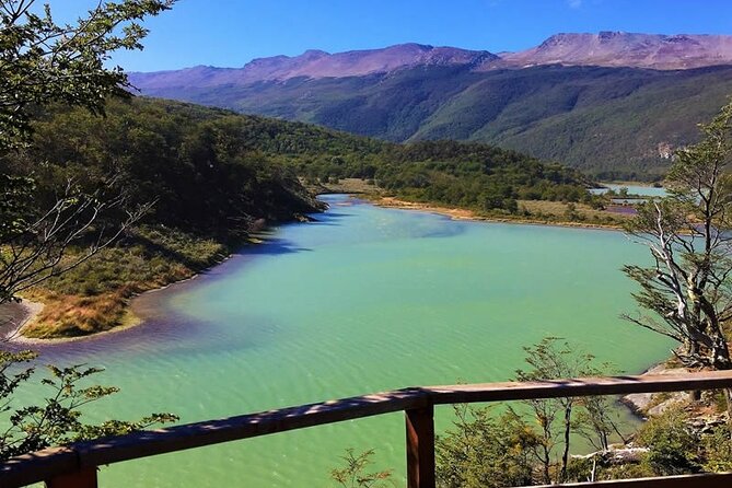Tour to Tierra del Fuego National Park from Ushuaia - A small-group half-day start from Ushuaia