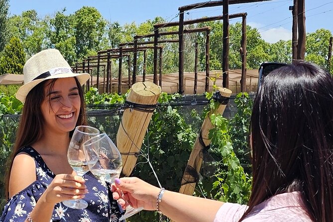 Tour wineries Lujan de Cuyo - Key things to know before you go