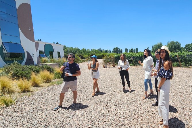 Tour wineries Lujan de Cuyo - Stop 2: Penedo Borges boutique wines at the Andes foothills