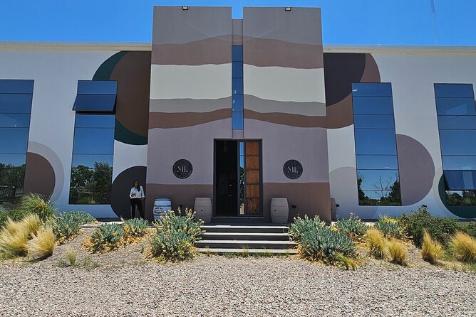 Tour wineries Lujan de Cuyo - Stop 3: Mauricio Lorca’s paired gourmet lunch, plus the winery tour