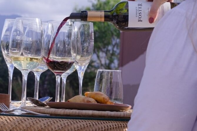 Tour wineries Lujan de Cuyo - Price and what you are really paying for