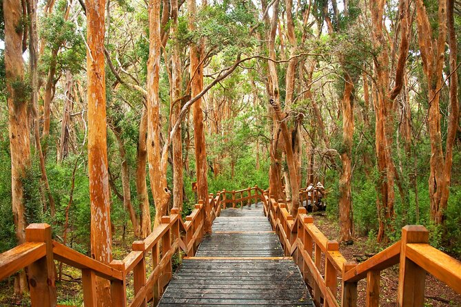 Tour with Navigation to the Arrayanes Forest and Victoria Island - Stop 2: Isla Victoria by boat, with trails, historic houses, beaches, and restaurants