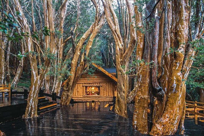 Tour with Navigation to the Arrayanes Forest and Victoria Island - Cost and value: $215 is the start, not the whole bill
