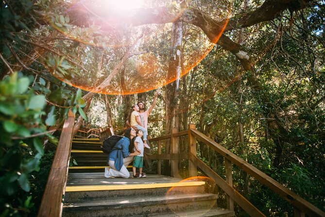 Tour with Navigation to the Arrayanes Forest and Victoria Island - The real itinerary: what happens in your 6 hours