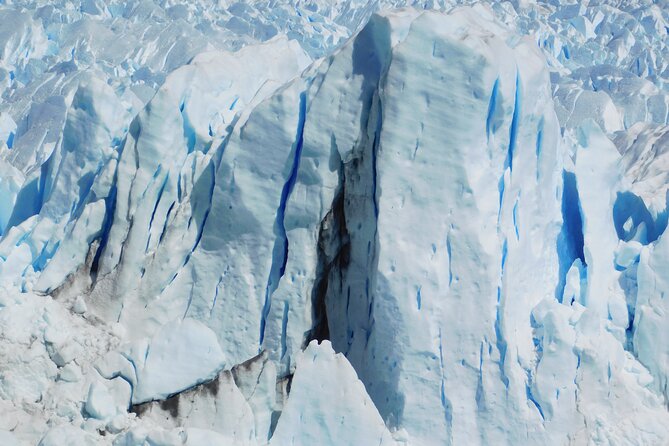 Transfer Moreno Glacier Full Day (roundtrip 6 hours) - Wildlife spotting on the way, plus the human touch