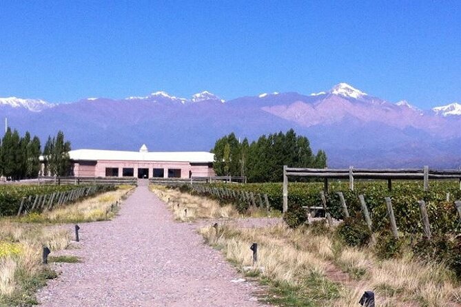 Transfer to Salentein Uco Valley with Lunch and Visit - Salentein Uco Valley, built for a perfect half-day wine reset