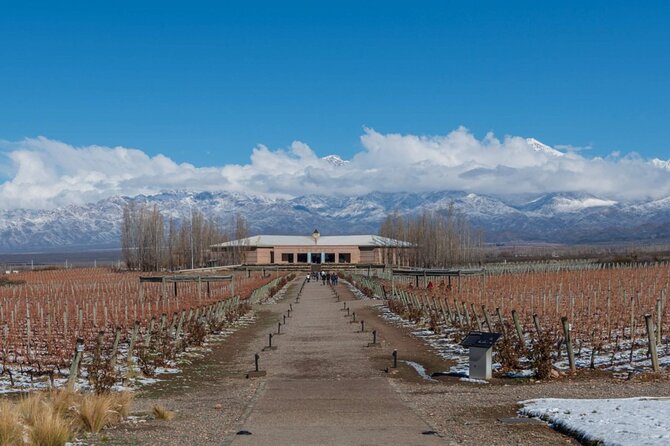 Transfer to Salentein Uco Valley with Lunch and Visit - Salentein’s modern complex: the architecture, the art, and the underground barrel room