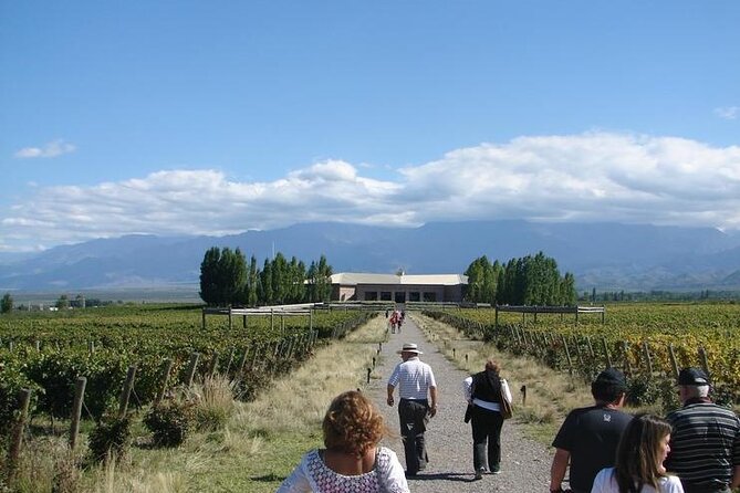 Transfer to Salentein Uco Valley with Lunch and Visit - What to bring, and how to get the most out of the day