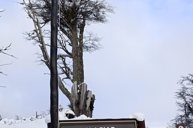 Transfers from the Airport to El Calafate with City Tour - Who this is best for (and who might skip it)