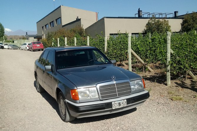 Transportation around Mendoza or others states!!! Trips.. transfers - Price per hour, groups, and how the vehicle capacity works