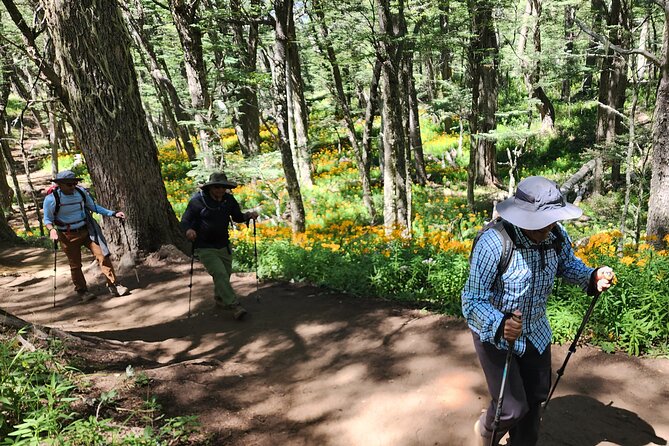 Trekking Day in Bariloche - Low/Medium/High difficulty - Lunch, Mate, and the Snack Stops That Keep You Going