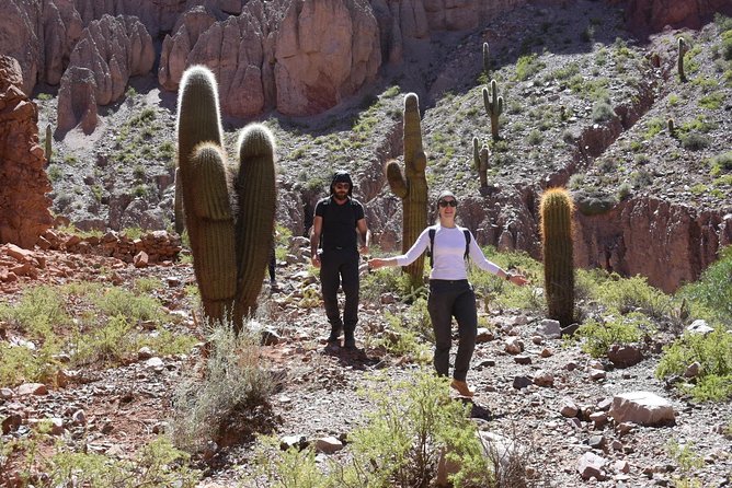 Trekking Purmamarca - What you learn: geology, native culture, and medicinal flora