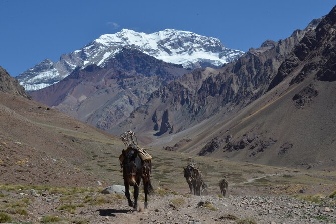 Trekking to Confluencia, Aconcagua first base camp - The trek to Confluencia base camp: what the hike is really like