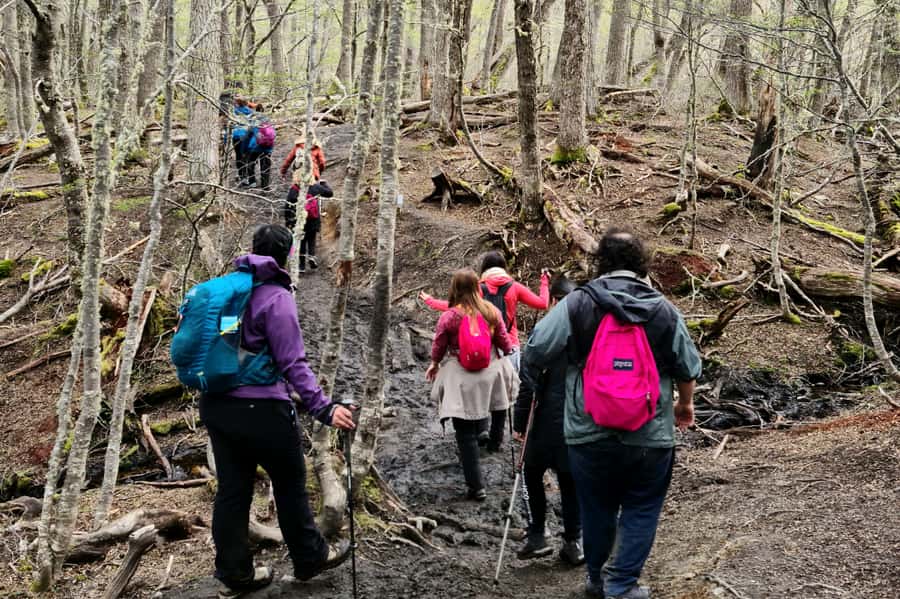 Trekking to Emerald Lagoon - Getting From Ushuaia to the Start: A Short Ride, Real Outdoors Time