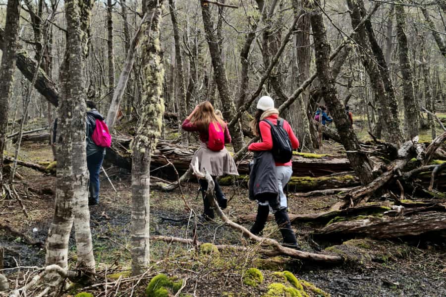 Trekking to Emerald Lagoon - What to Wear and Bring: The Stuff That Determines Whether You Enjoy It
