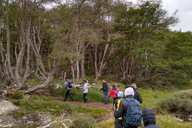 Trekking to Laguna Esmeralda - The trail to Laguna Esmeralda: moderate effort, real Patagonian variety
