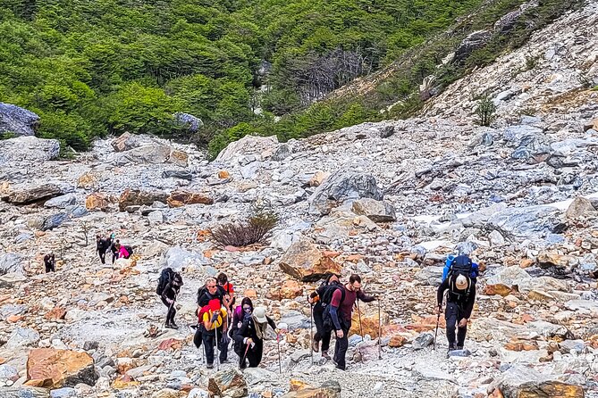 Trekking to Ojo del Albino Glacier - Price and Value: What $185 Really Buys You