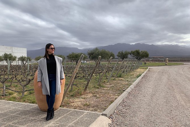Uco Valley - Altitud Vines - Valle de Uco is the easiest win for Mendoza newcomers