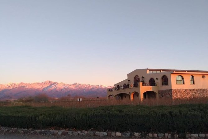 Uco Valley - Altitud Vines - Park Hyatt Mendoza pickup: how the day is organized