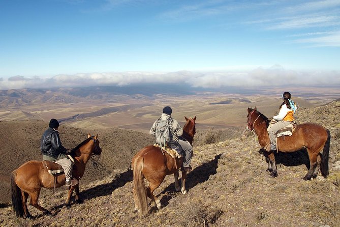Uco Valley Horseback Riding Tour with Traditional Argentine Lunch - Key things to know before you go