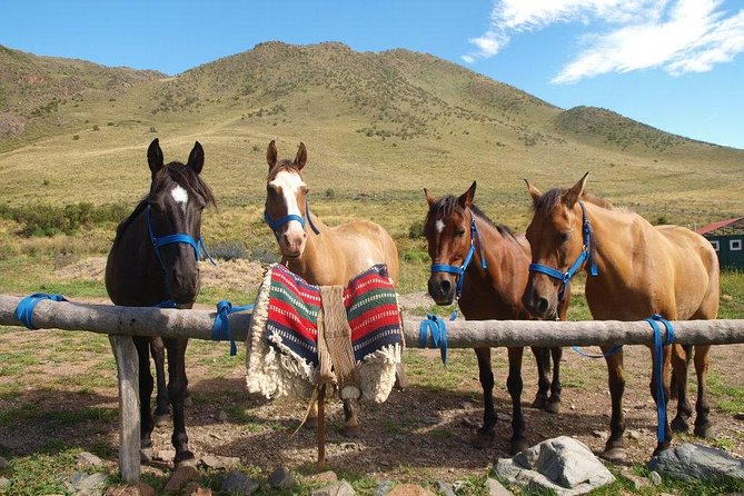 Uco Valley Horseback Riding Tour with Traditional Argentine Lunch - Uco Valley horseback riding from Mendoza, minus the rush