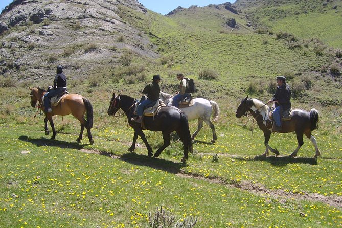 Uco Valley Horseback Riding Tour with Traditional Argentine Lunch - Guides and the small-group advantage, especially with Pehuen