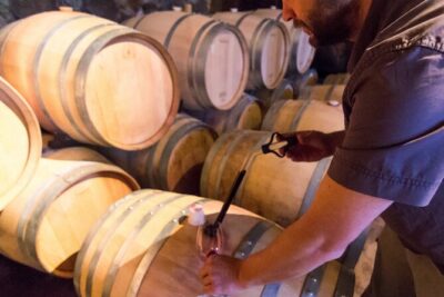 Uco Valley Wine Experience – Private – The Best Wine Tour & Lunch