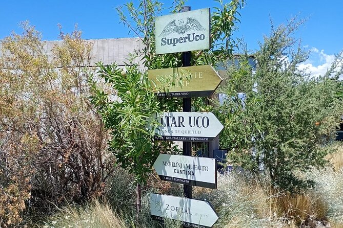 Uco Valley Wine Experience - Private - The Best Wine Tour & Lunch - Who This Tour Suits Best in Mendoza