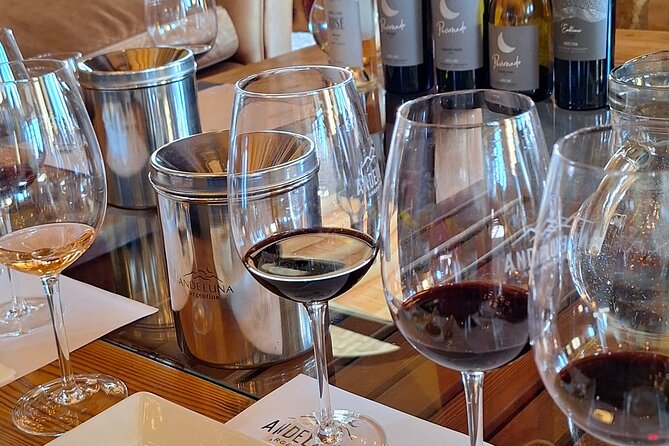 Uco Valley Wineries Day with Private Driver - Key highlights at a glance