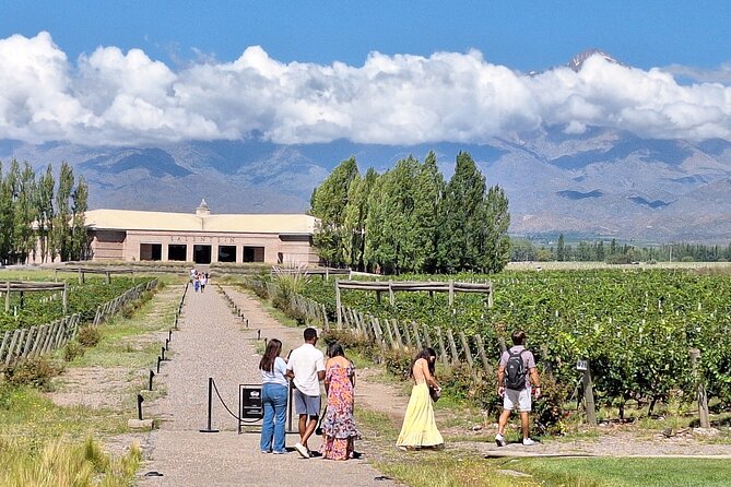 Uco Valley Wineries Day with Private Driver - Andeluna: a Uco Valley classic with a clear origin story