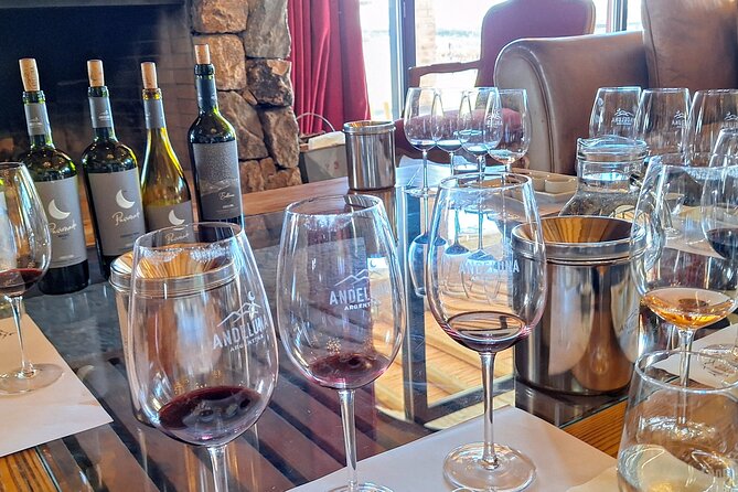 Uco Valley Wineries Day with Private Driver - Domaine Bousquet: organic and biodynamics with high-altitude character