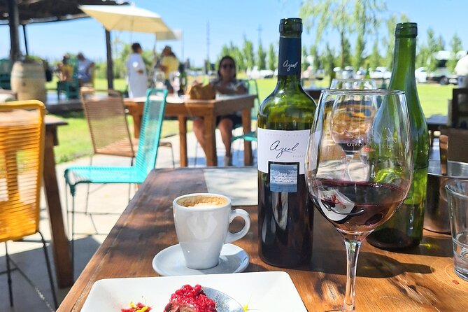 Uco Valley Wineries Day with Private Driver - Gualtallary: what you need to know before you add it
