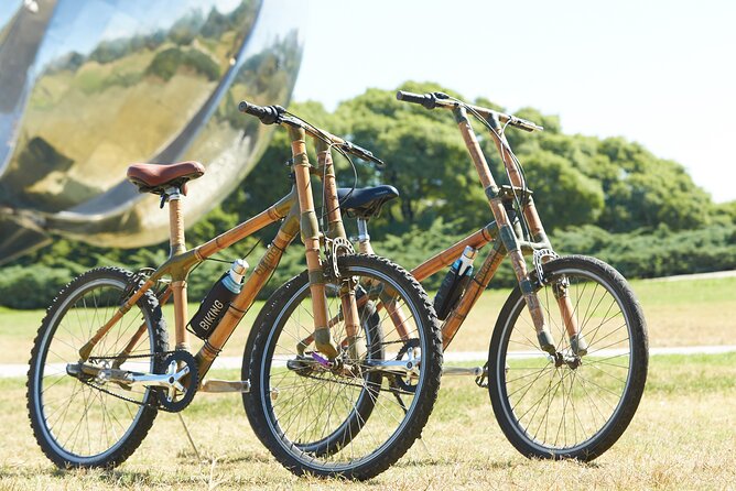 Ultimate Buenos Aires Bike Tour: All-Day All-Inclusive All-City - San Telmo Beginnings: Balcarce and Carlos Calvo Stops You Can Use Later