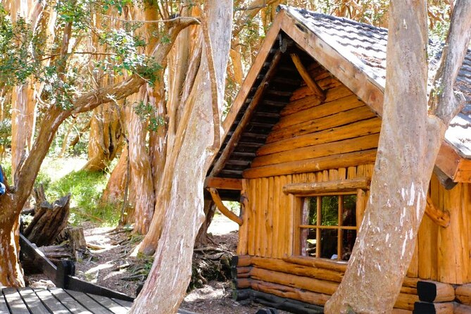 Unforgettable Patagonia Victoria Island and Arrayanes Forest - Isla Victoria on foot: conifers, coihues, viewpoints, waterfalls, and quiet beaches