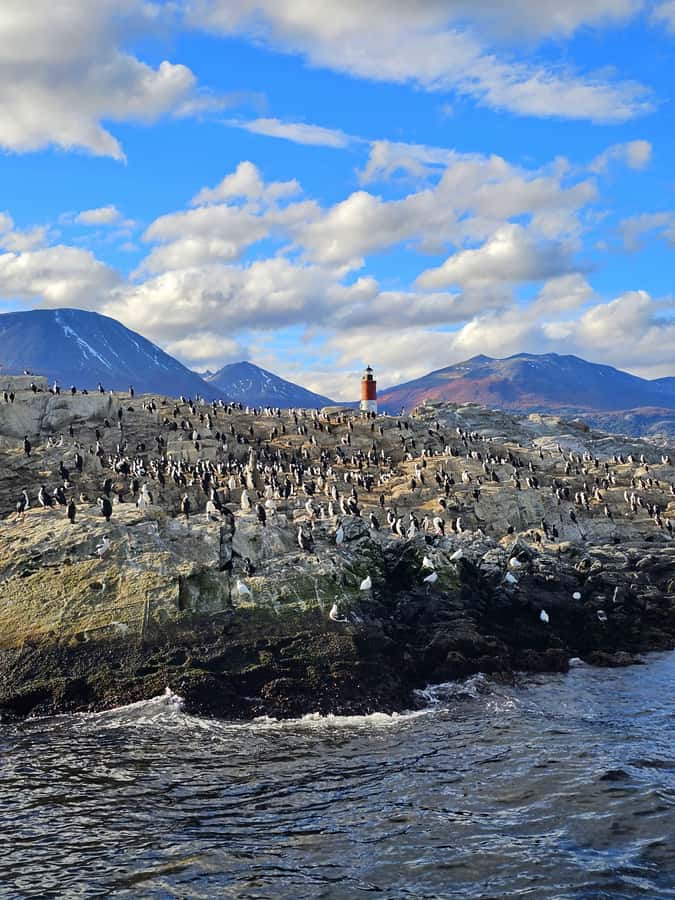Ushuaia: Beagle Channel and Penguin Island - The Sailing Route: Bird Island, Sea Lions Island, and Les Eclaireurs Lighthouse