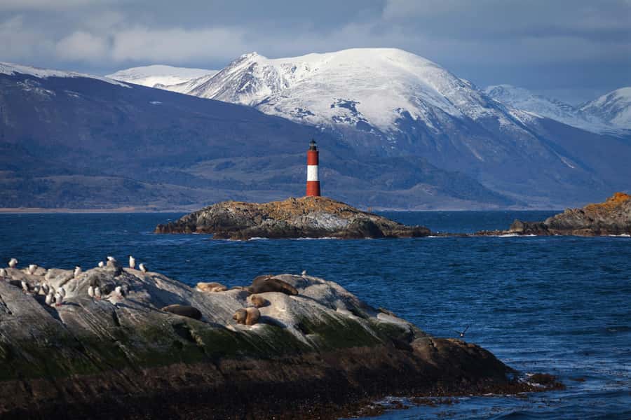 Ushuaia: Beagle Channel Boat Tour and Penguin Experience - Key Points You Should Know Before You Go