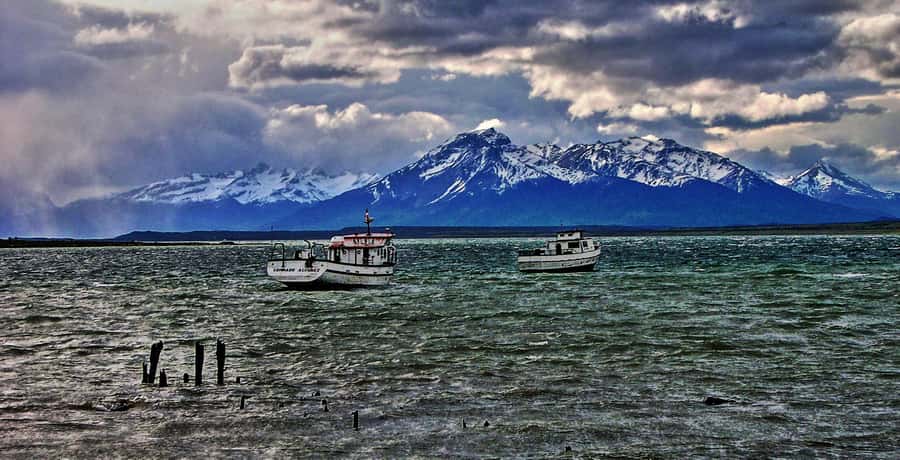 Ushuaia: Beagle Channel Boat Tour and Penguin Experience - Martillo Island penguin encounter, what the guided hour is really like