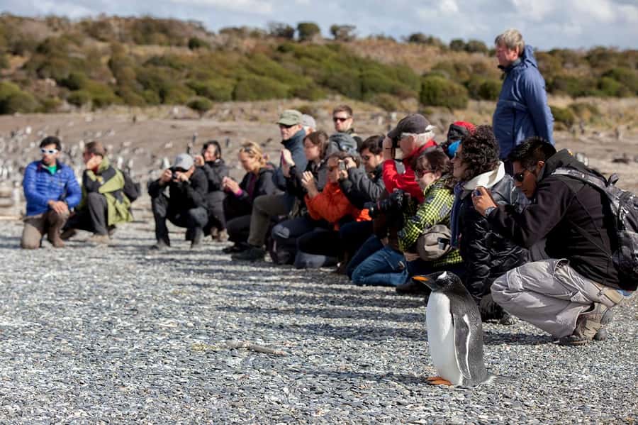 Ushuaia: Beagle Channel Boat Tour and Penguin Experience - Guide quality, and why names like Fabricio and Agustina show up