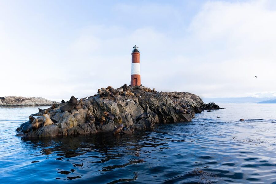 Ushuaia: Beagle Channel Catamaran Tour - Practical Tips That Make the Difference on This Route