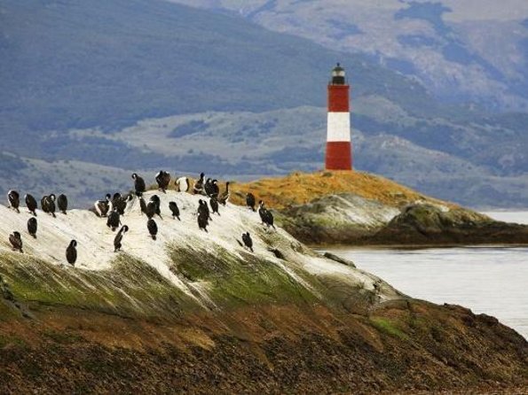 Ushuaia: Beagle Channel Navigation to the Penguin Colony - What you will remember most
