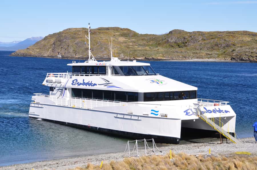Ushuaia: Beagle Channel & Sea Wolves Island Catamaran Cruise - Sea Lion Island and Bridges Archipelago: Watching Without Intrusion