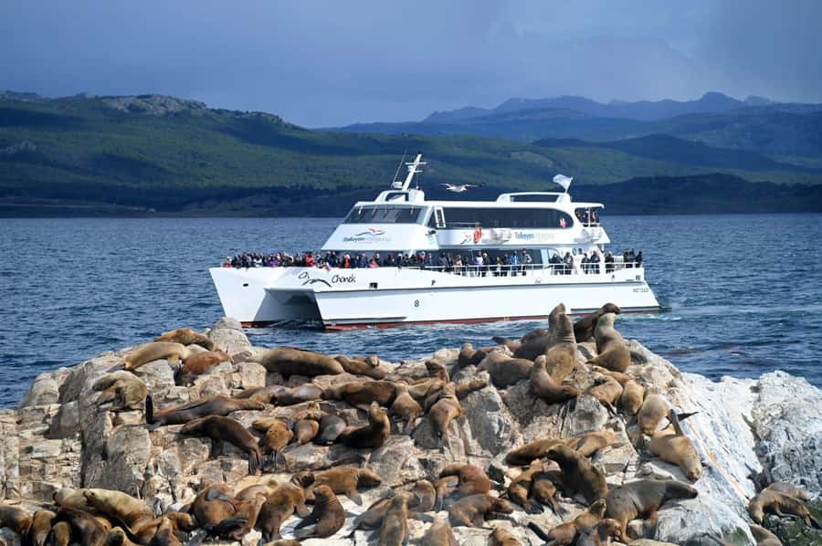 Ushuaia: Beagle Channel, Seal Island & Bridges Islands Tour - A 3-hour catamaran route with real wildlife odds