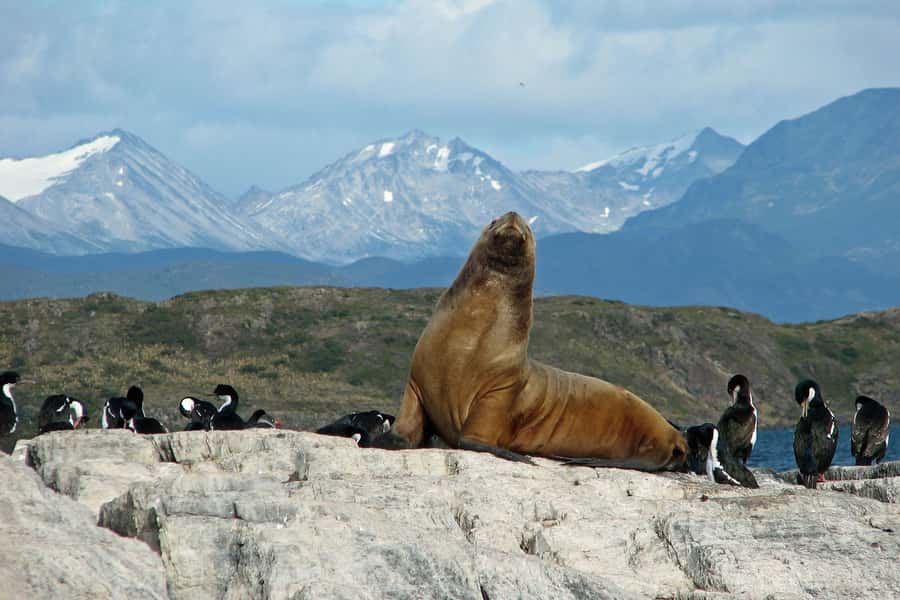 Ushuaia: Beagle Channel, Seal Island & Bridges Islands Tour - Les Eclaireurs Lighthouse: the end-of-the-world marker